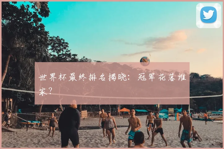 世界杯最终排名揭晓:冠军花落谁家?
